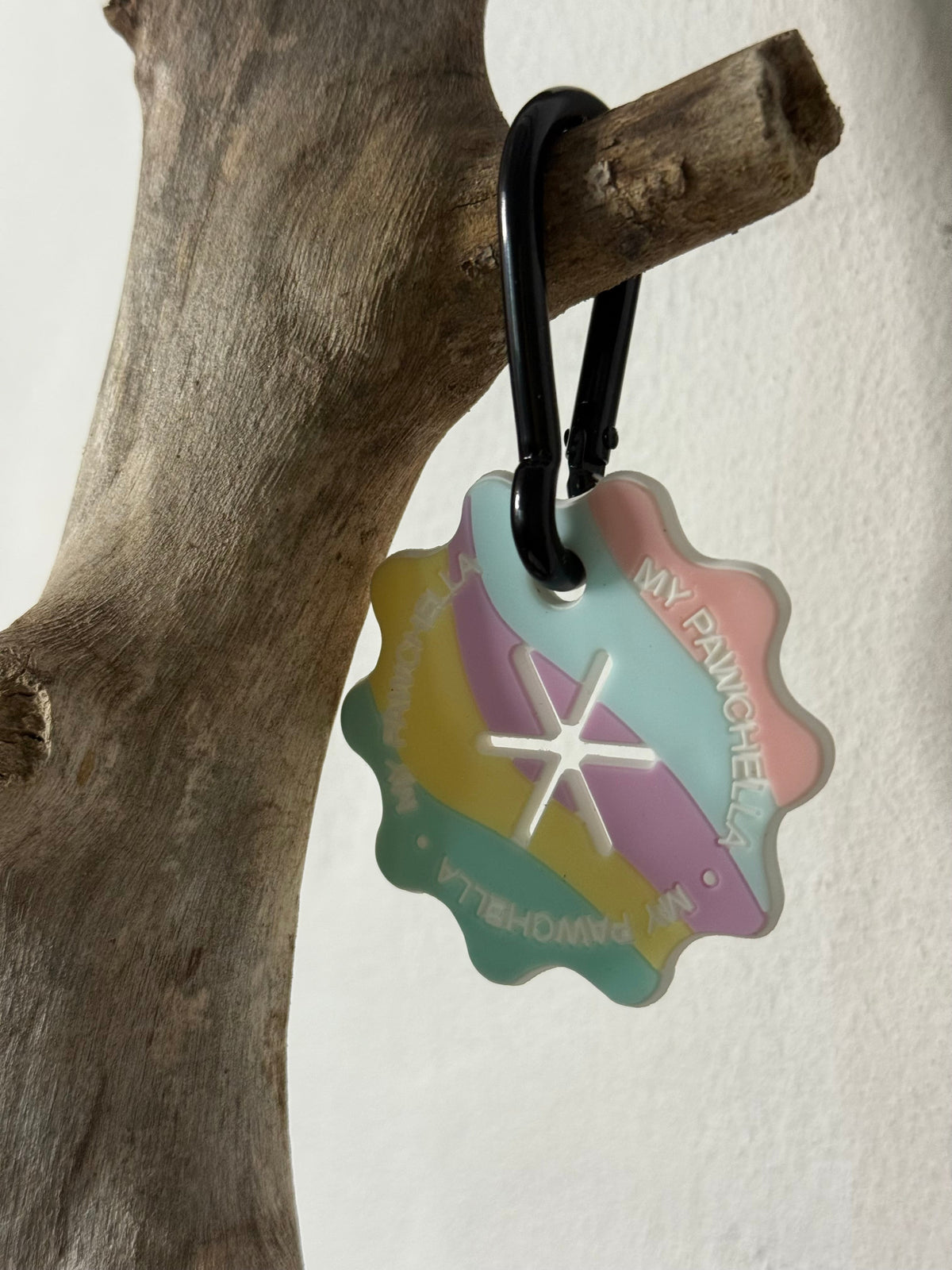 Accesorios para pasear