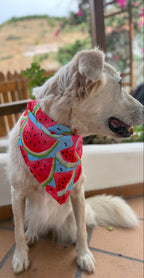 Bandana Sandía