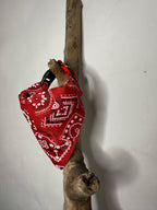 Collar Rojo con Bandana