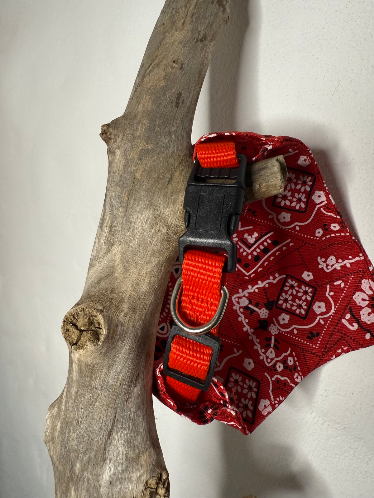 Collar Rojo con Bandana