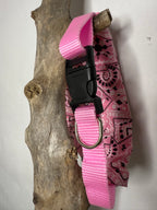 Pink Collar with Bandana