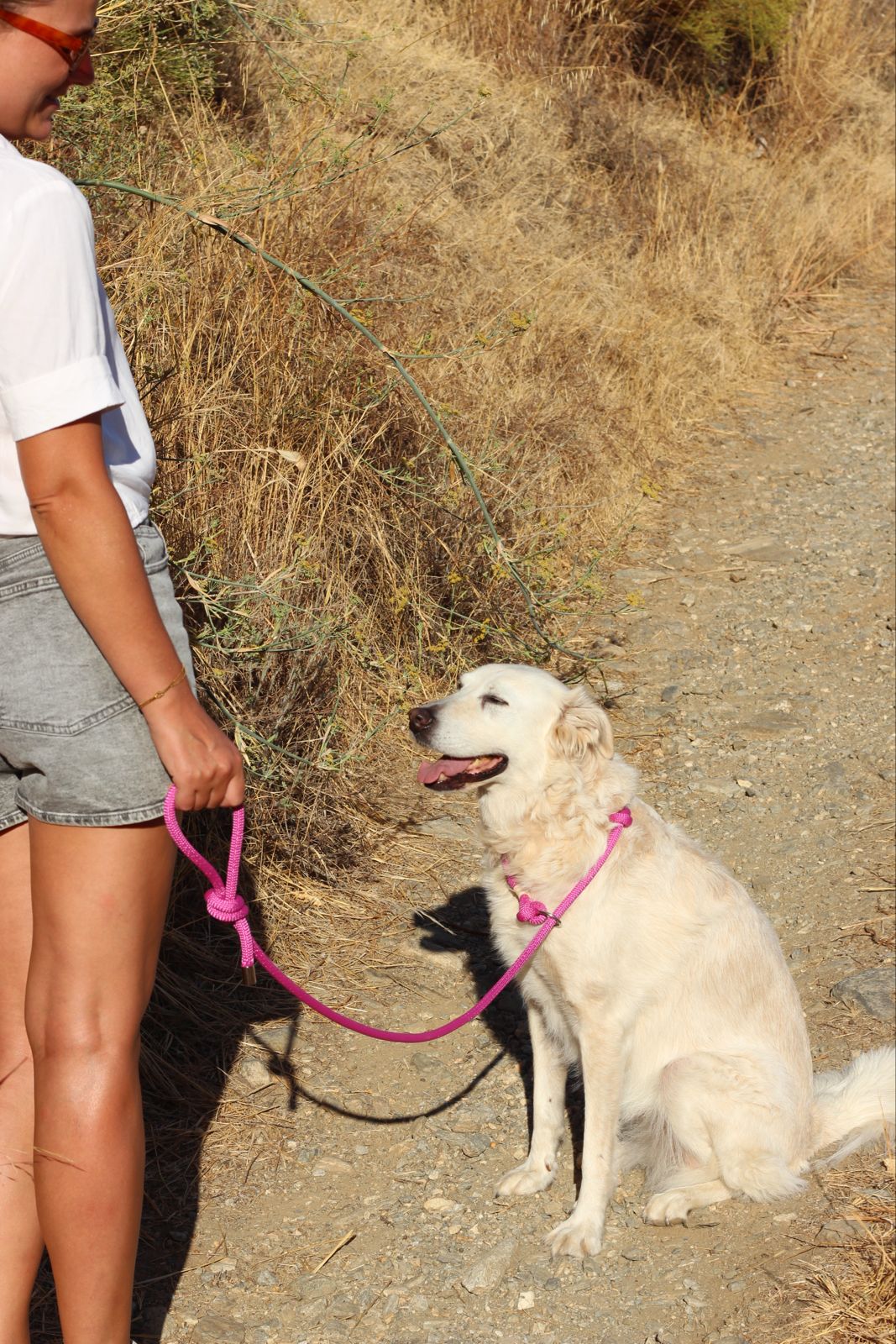 Correa Retriever «Todo en Uno»