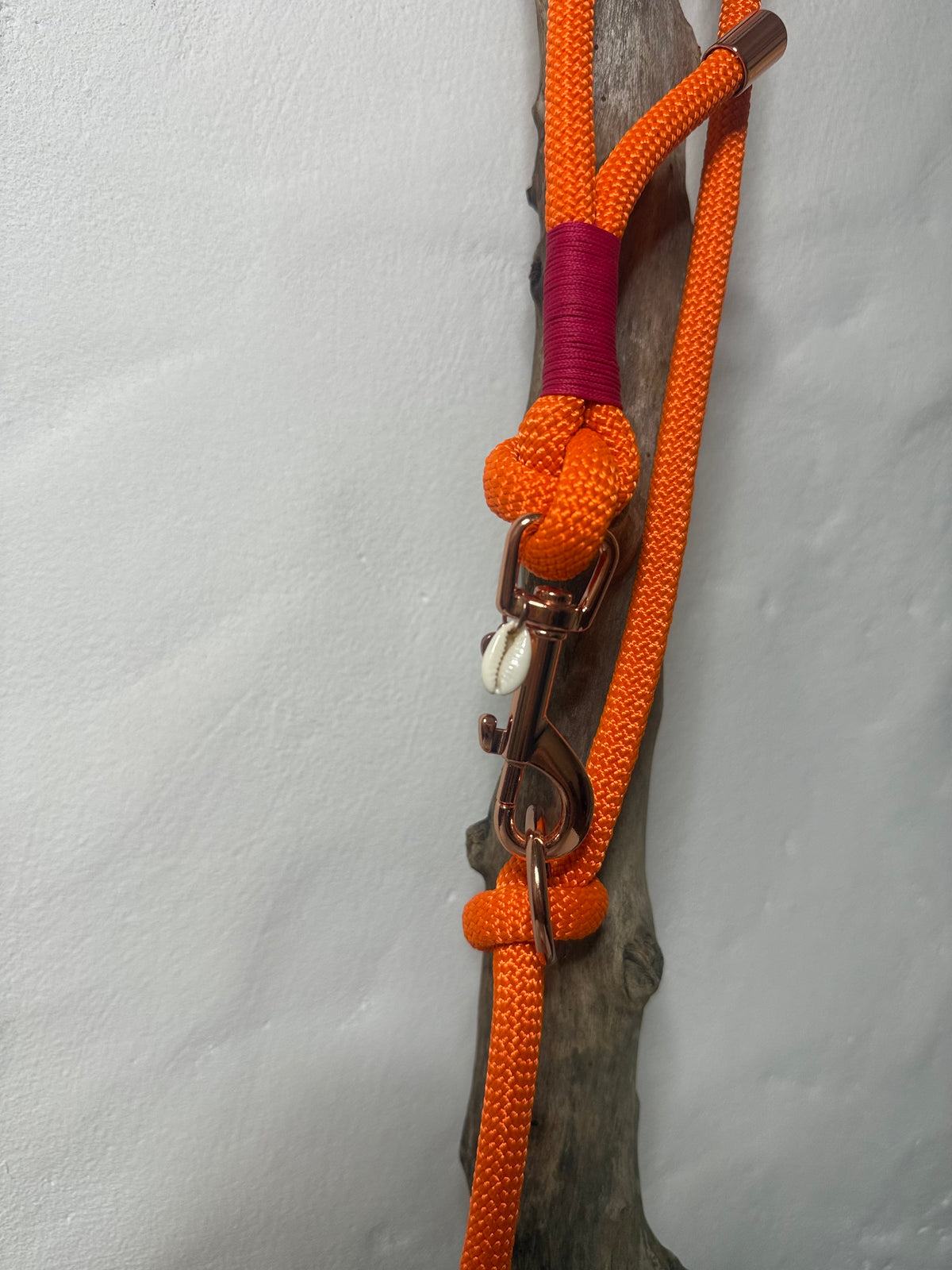 Correa «Coral»