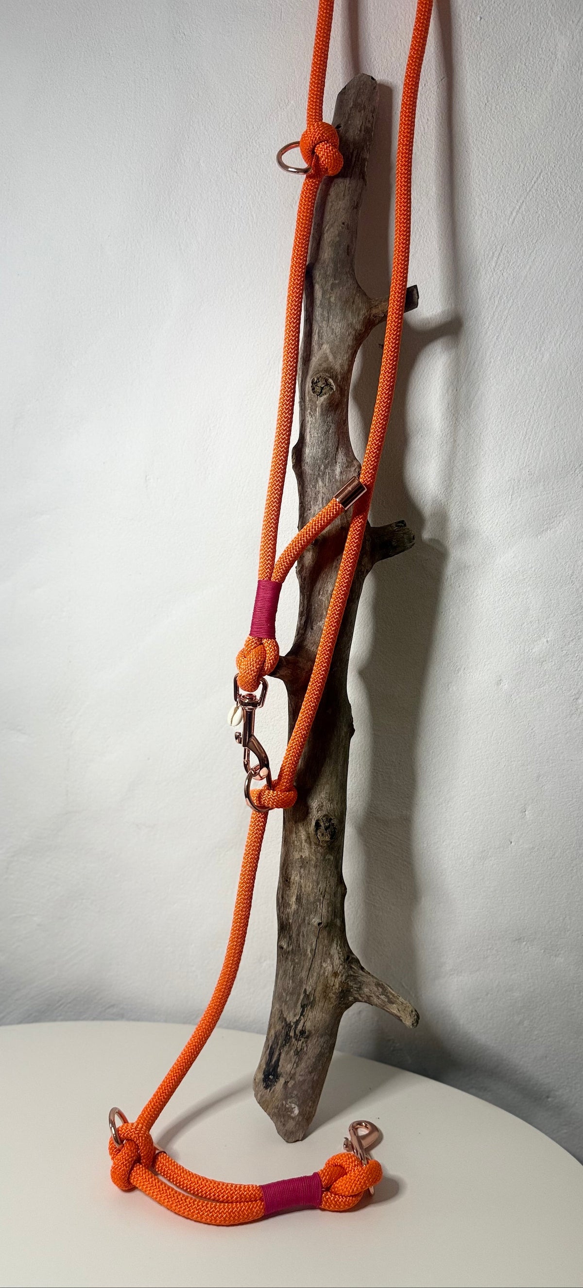 Correa «Coral»