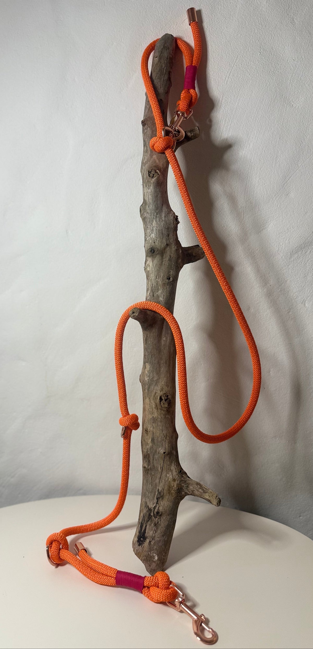 Correa «Coral»