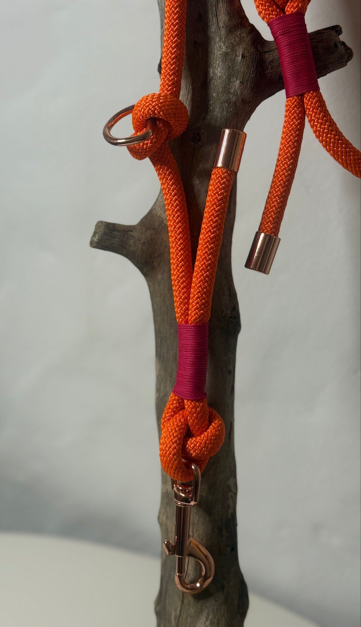 Correa «Coral»