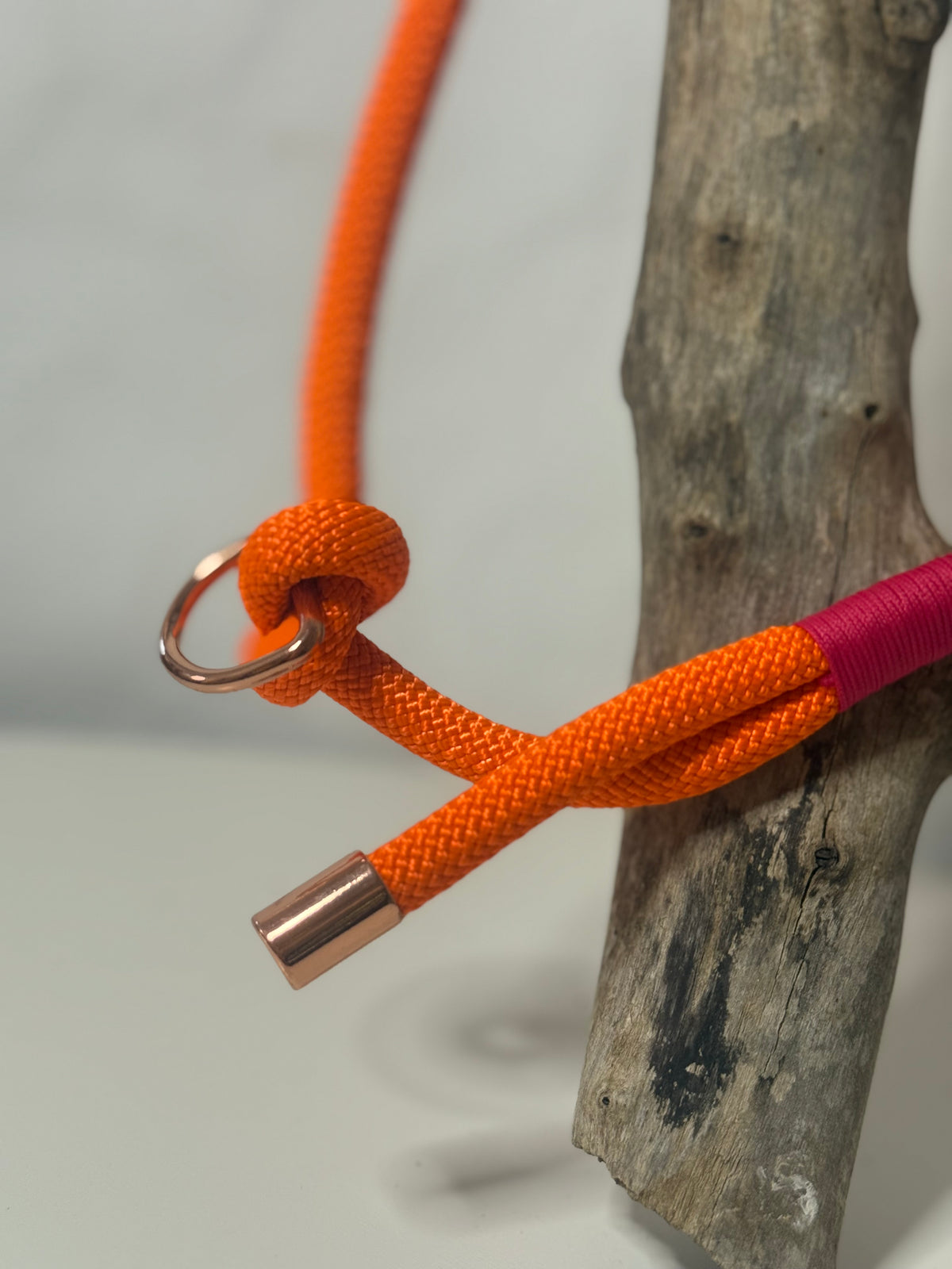 Correa «Coral»