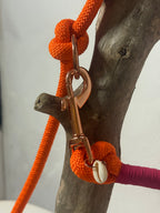 Correa «Coral»