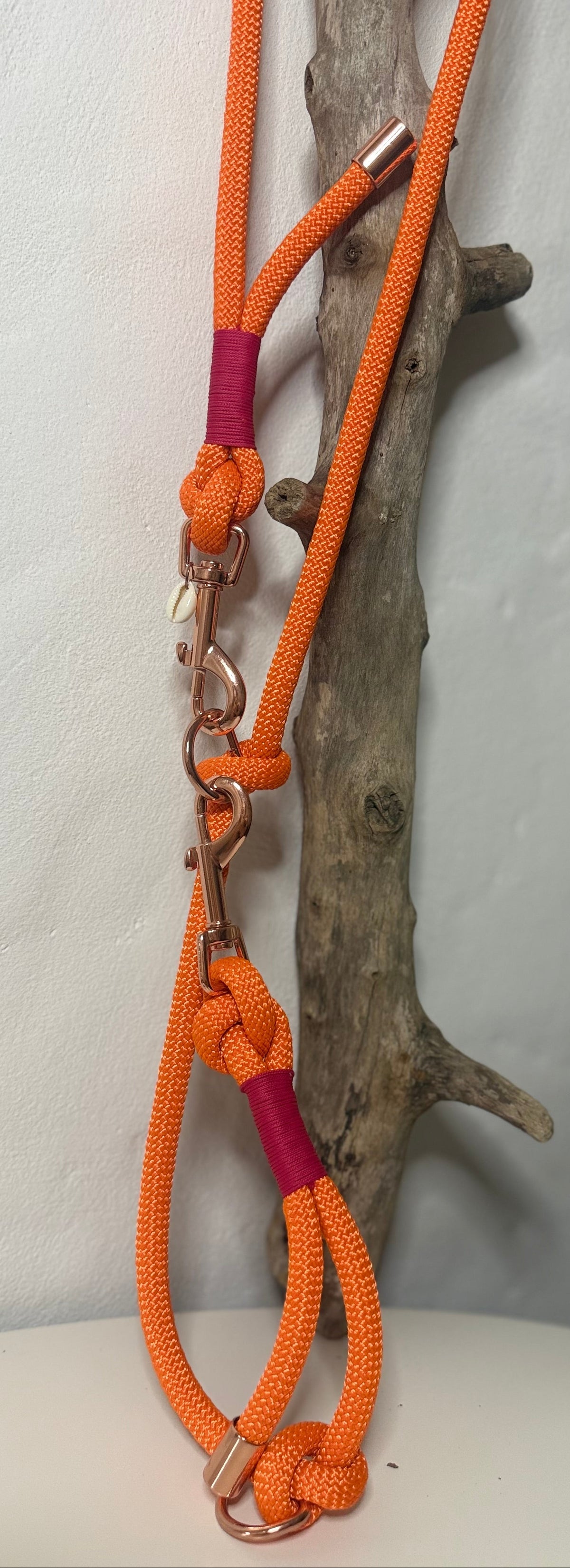 Correa «Coral»