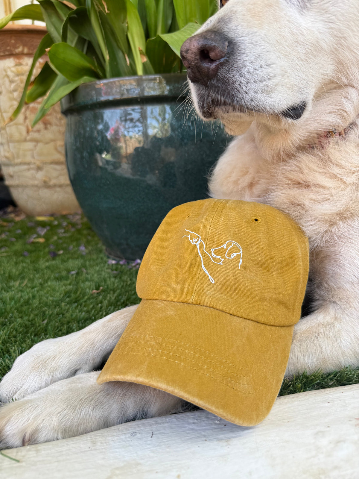 Gorra «Mejor Amigo»