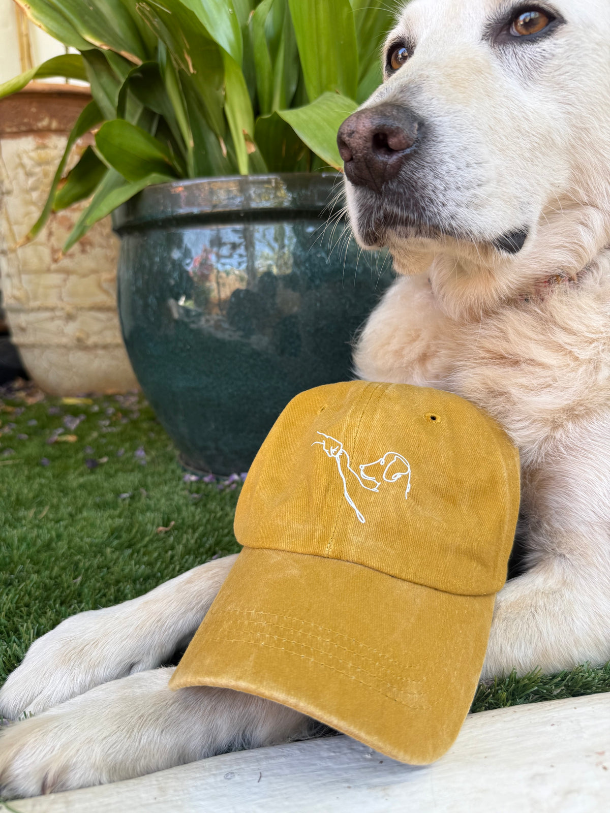 Gorra «Mejor Amigo»