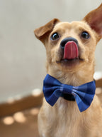 Pajarita a rayas azul