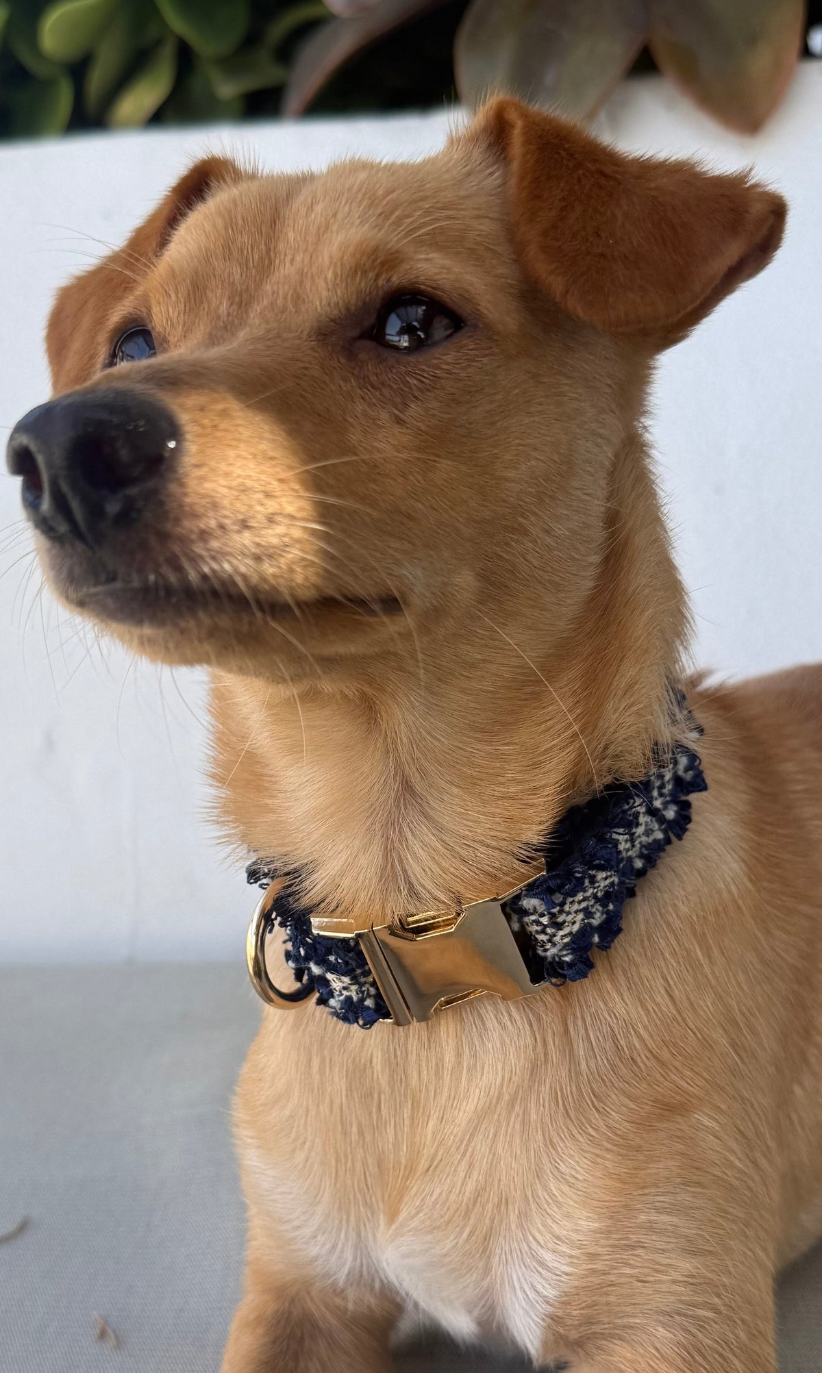 Sueño Boho «Marino»