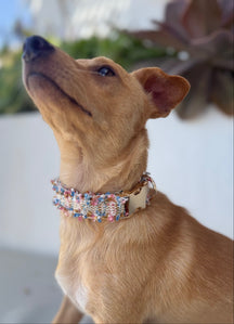 Sueño Boho «Pastel»